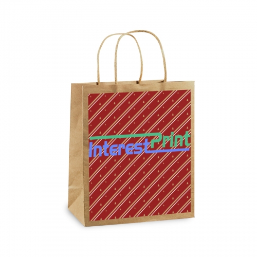 Kraft Paper Gift Bag (One Side Printing)