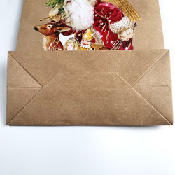 Kraft Paper Gift Bag (One Side Printing)